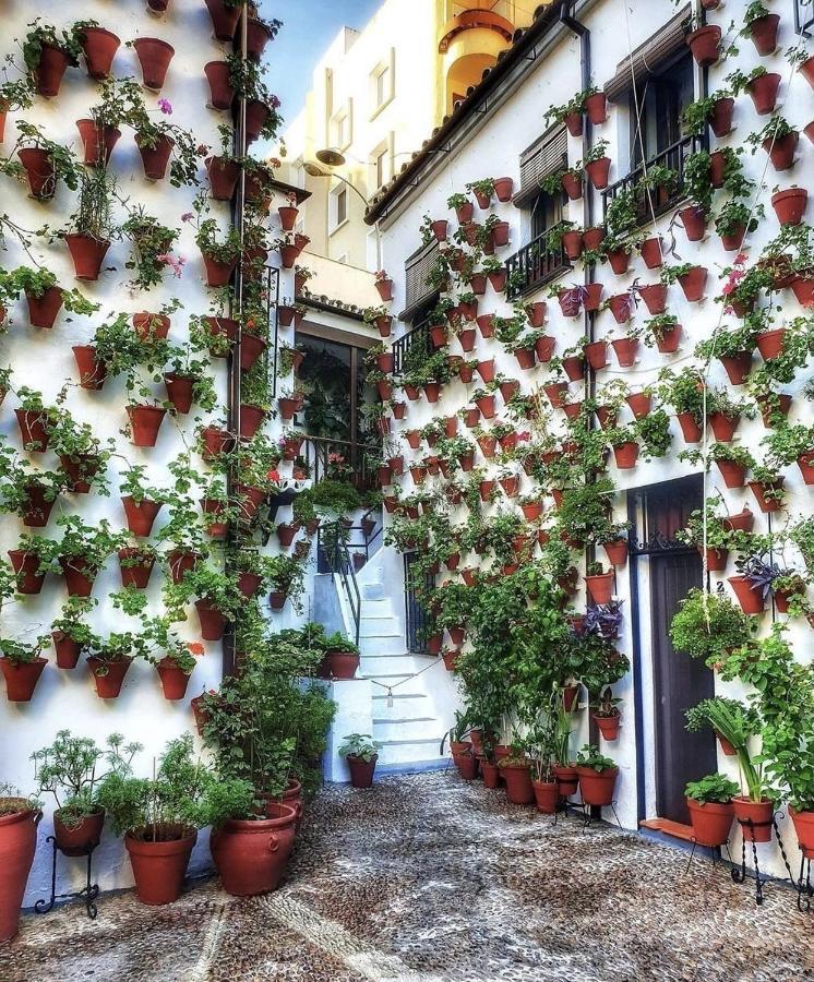 Apartamentos El Alcazar Viejo Кордова Экстерьер фото