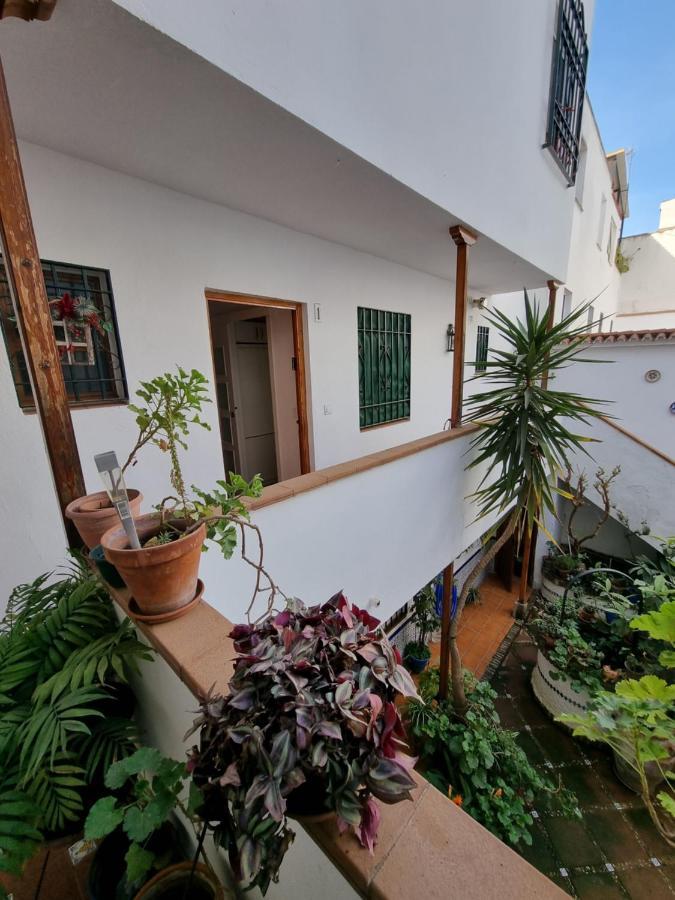 Apartamentos El Alcazar Viejo Кордова Экстерьер фото